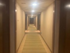 -上海浦东康桥绿地假日酒店