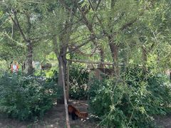 -鄂尔多斯野生动物园