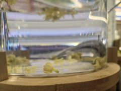 -千稻剁椒大鱼头(CityOn熙地港店)