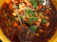 -熊猫川菜馆 panda chine