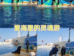 -秦皇岛乐岛海洋王国