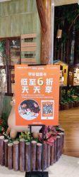 -森活木趣wooderfullife(益田假日广场店)