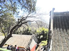 -潭柘寺景区
