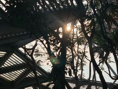 -维也纳酒店(广州番禺市桥地铁站店)