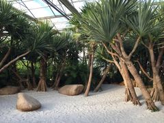 -南通洲际绿博园