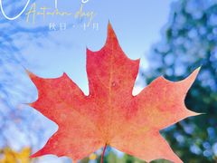 -鹫峰国家森林公园