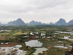 -会仙湿地