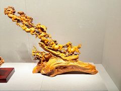 -温州博物馆