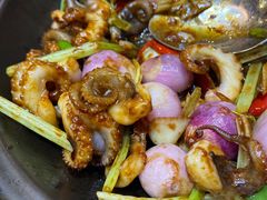 砂锅焗八爪鱼-大方圆酒楼(西门大街店)