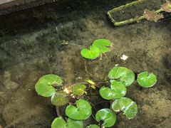 -泉乐坊步行街(烟酒特产平价超市店)