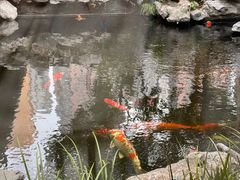 -鲤院·新中式美学·庭院餐厅(夫子庙店)