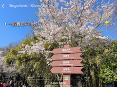-苏州上方山国家森林公园