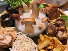-菌彩云南野生菌火锅(呈贡七彩云南第壹城店)