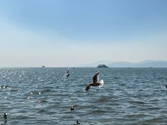 -滇池海埂公园