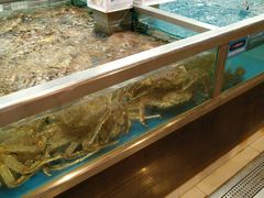 俄罗斯帝王蟹-盒马鲜生(大成店)