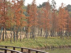 -枫香湖儿童公园