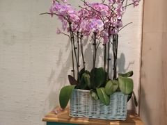 -春暖花开(西溪店)