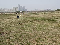 -苏州湾体育公园