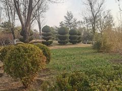 -燕郊植物园