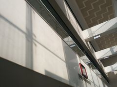 -首都医科大学附属北京地坛医院