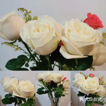 难道是我不够温柔？才让你受伤
