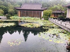 -西湖国宾馆·紫薇厅