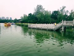 -莲湖公园