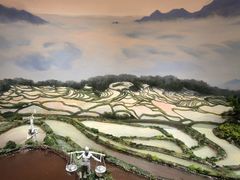 -中国湿地博物馆