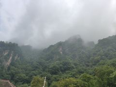 -青峰峡国家森林公园