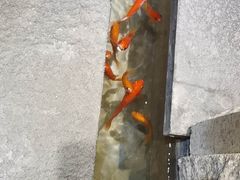 -小隐足道·按摩·主题SPA馆(西红门店)