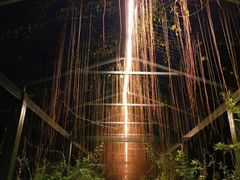 -福田红树林生态公园