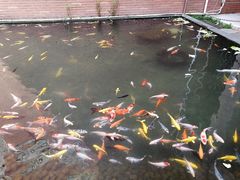 -芙蓉餐厅(厦大店)