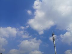 -菊园百果园