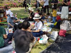 -东平国家森林公园