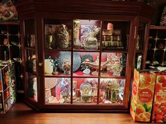 -雪灵魔法世界SHELLY’S TAROT(大良桂畔里店)