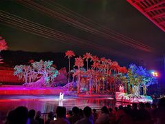 -三亚红色娘子军演艺公园景区