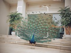 -西昌邛海宾馆