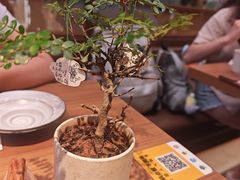 -CURRY YA 熟成咖哩專門店(深圳湾万象城店)