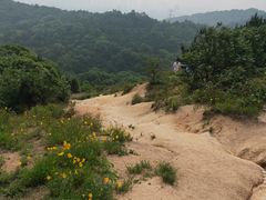 -灵岩山风景区