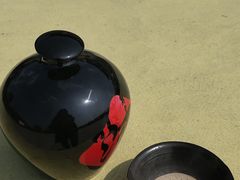 -商丘古城-应天书院