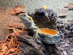 -北京安贞环宇荟