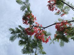 -白沙门生态公园