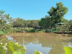 -洪湖家庭农场·团建·露营·会议