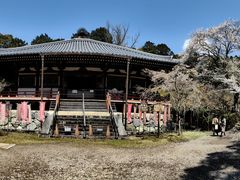 -醍醐寺