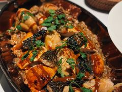 -Oyster Talks 四度蚝法餐厅