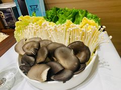 -红鼎豆捞·非遗鲍皇汤火锅(宝丰路店)