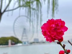 -无锡蠡湖国家湿地公园-蠡园