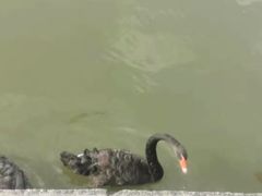 -芭东小镇温泉