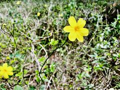 -白塘生态植物园