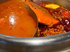 番茄鸳鸯锅-小龙坎老火锅(北京三里屯店)